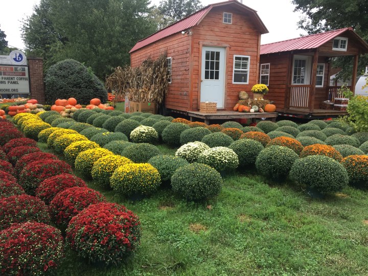 Fall Curb Appeal!